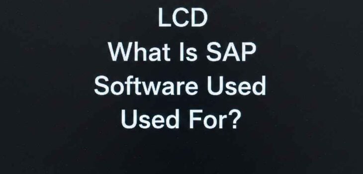What Is SAP Software Used For